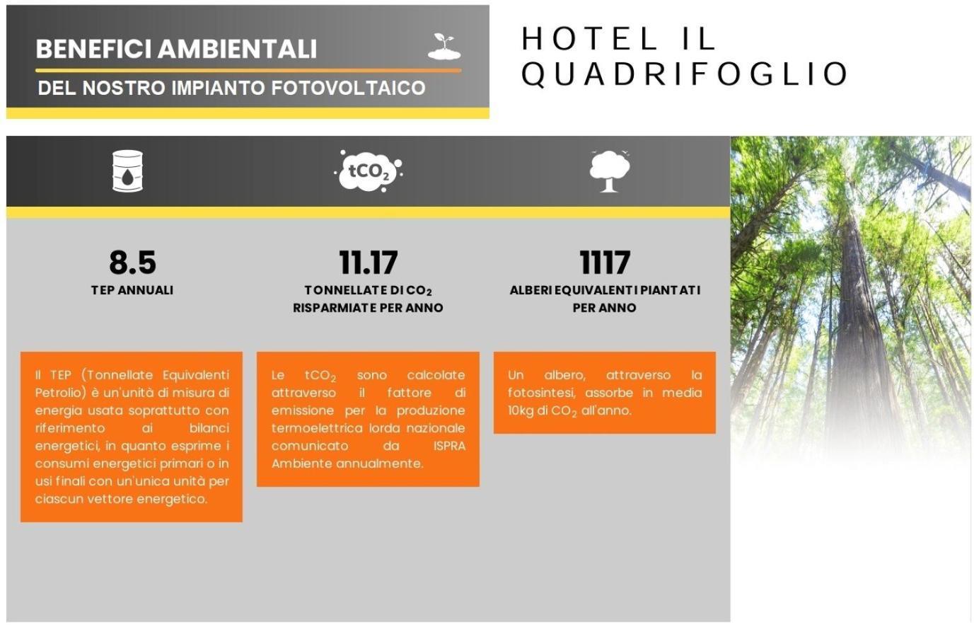 Hotel Quadrifoglio Roma Eur — Photos 3